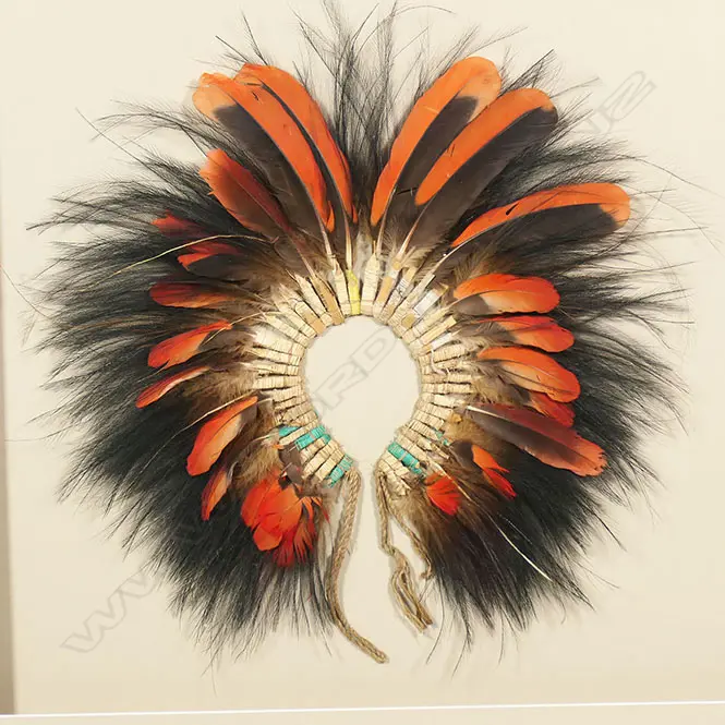 A framed PNG feather headdress, Image 1++
