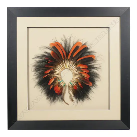 A framed PNG feather headdress,