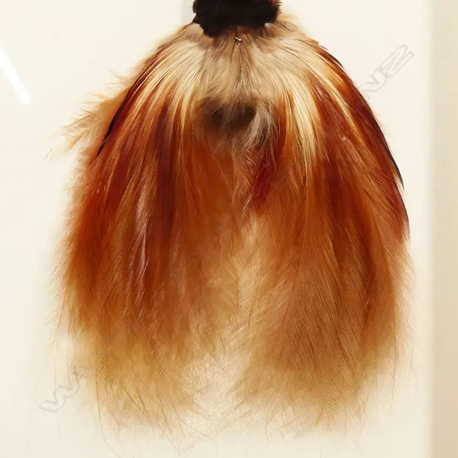 Two PNG red birds of Paradise, Image 1++