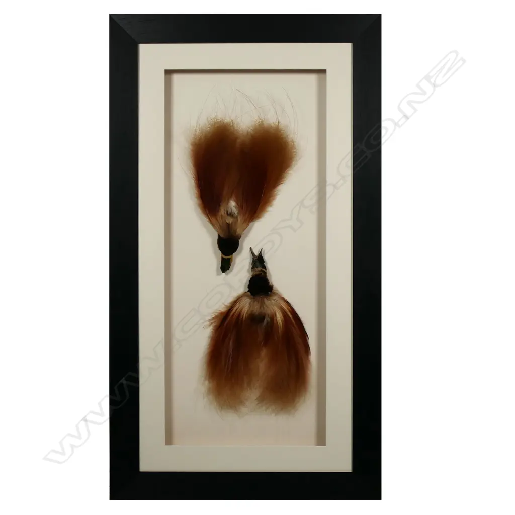 Two PNG red birds of Paradise, Image 1++