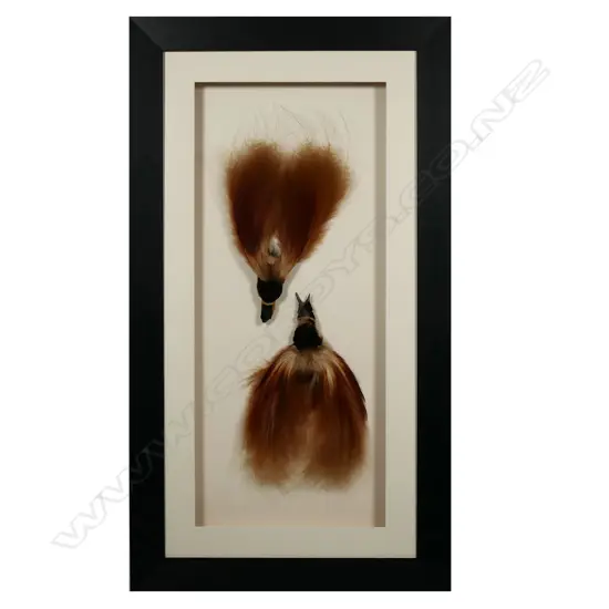 Two PNG red birds of Paradise,