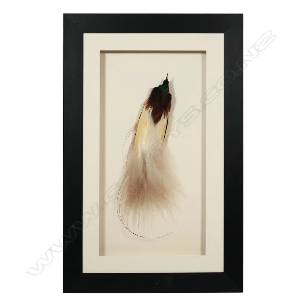 A framed PNG Bird of Paradise, Image 1++