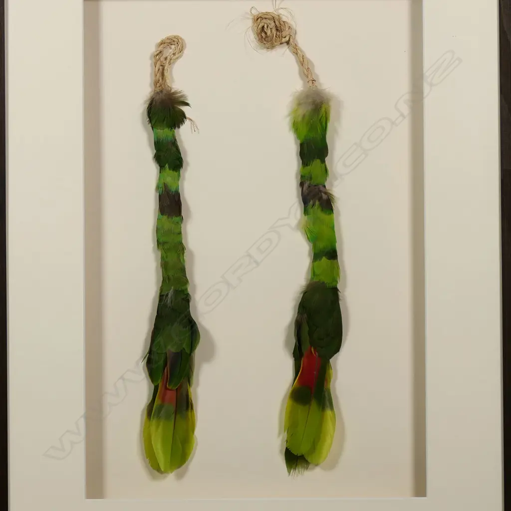 Two framed green parrot feathers earrings, Image 1++