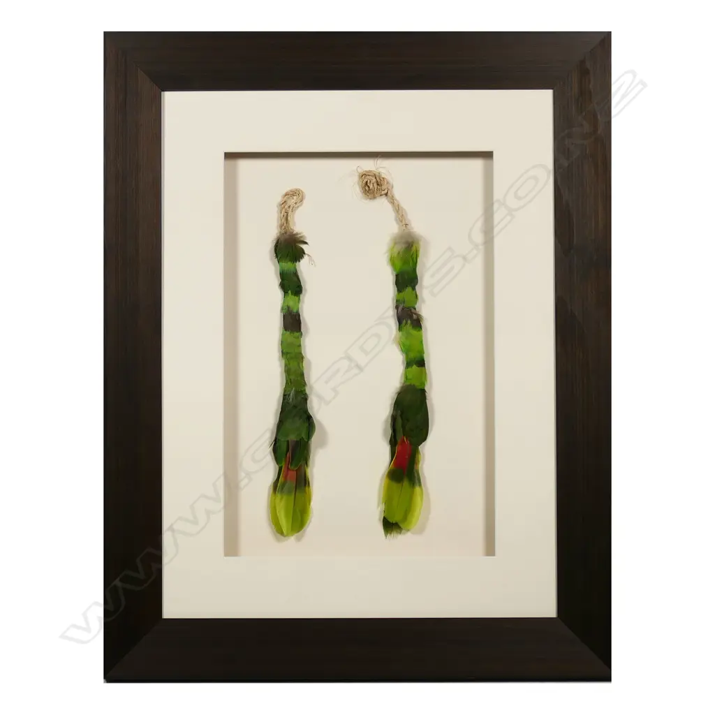 Two framed green parrot feathers earrings, Image 1++