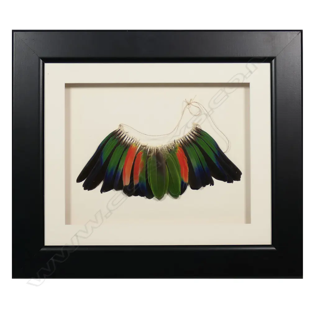 A framed parrot feather necklace, Image 1++