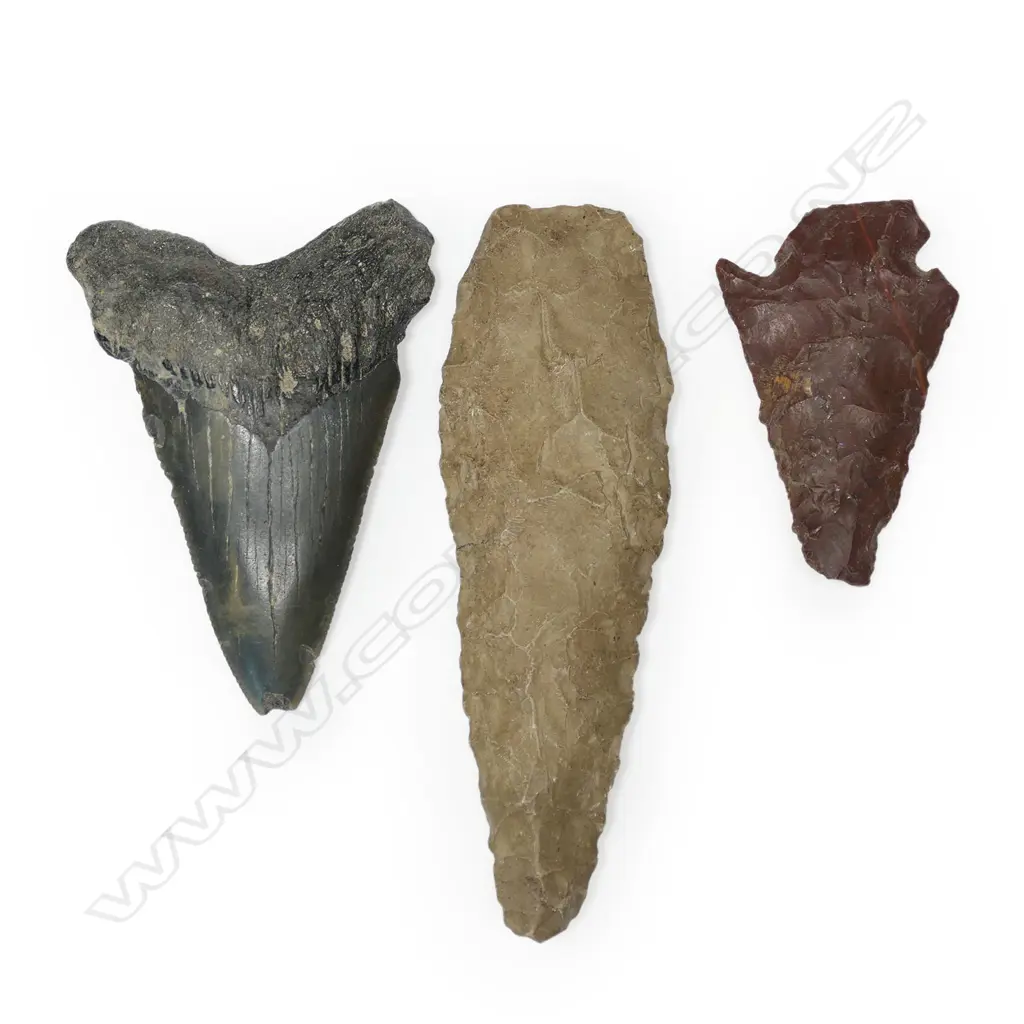 A pair of neolithic stone arrowheads and a megalodon tooth, Image 1++