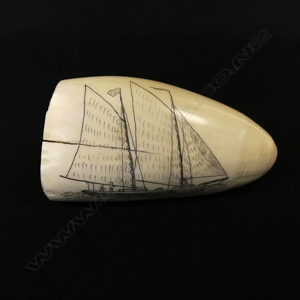 A contemporary scrimshaw whale tooth by Jorgen Lotz, engraved with 'Pearling Lugger, Broome, WA' and 'Doric, b464, 1913' (a ketch rigged yacht). Monogrammed 'JL'. L.130mm. Provenance: The Jorgen Lotz Collection. Image 1++