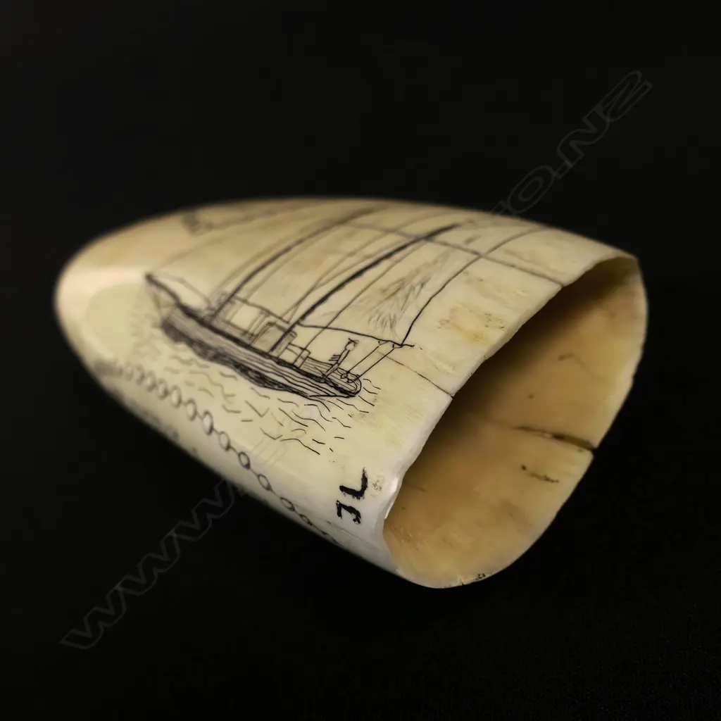A contemporary scrimshaw whale tooth by Jorgen Lotz, engraved with 'Pearling Lugger, Broome, WA' and 'Doric, b464, 1913' (a ketch rigged yacht). Monogrammed 'JL'. L.130mm. Provenance: The Jorgen Lotz Collection. Image 1++