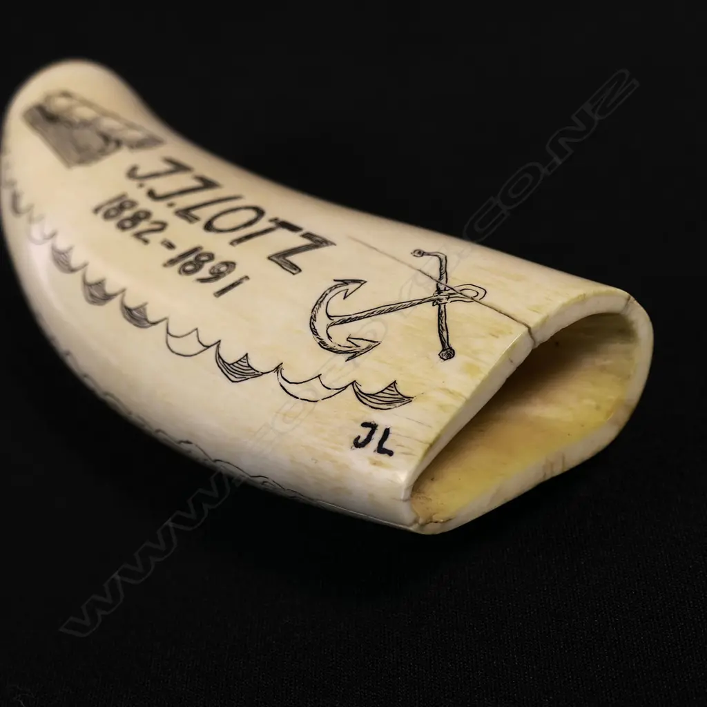 A contemporary scrimshaw whale tooth Image 1++