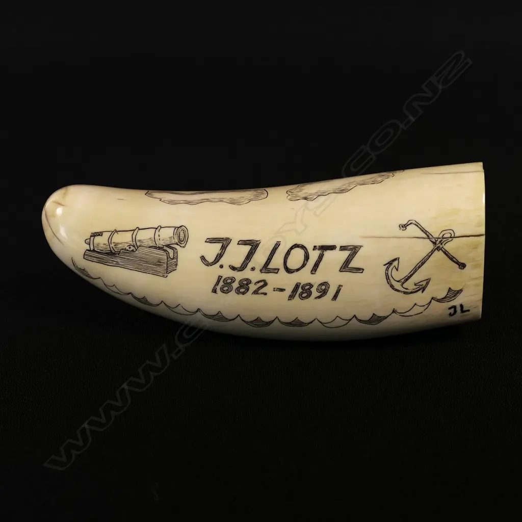 A contemporary scrimshaw whale tooth Image 1++