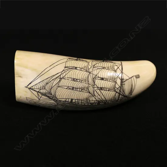 A contemporary scrimshaw whale tooth