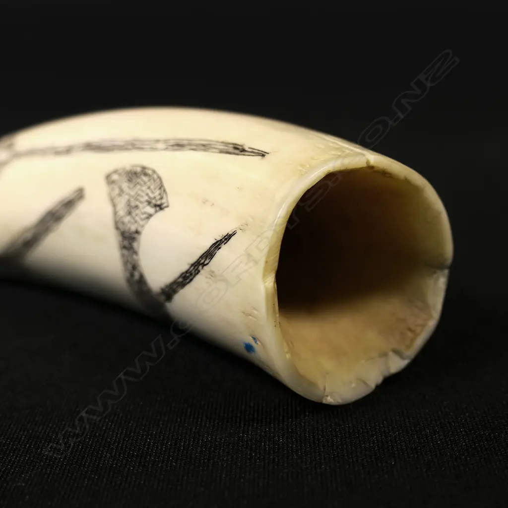 A small contemporary scrimshaw whale tooth Image 1++