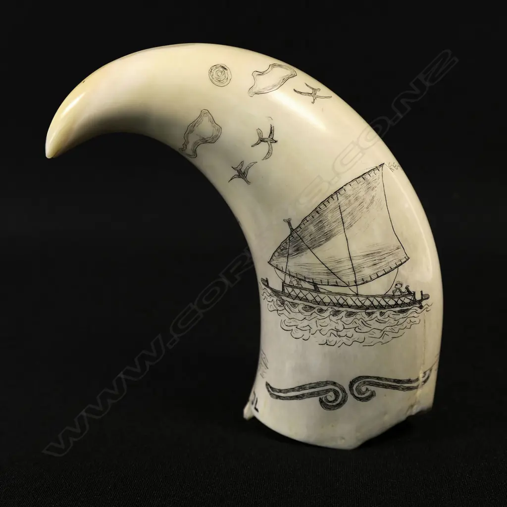 A contemporary scrimshaw whale tooth Image 1++