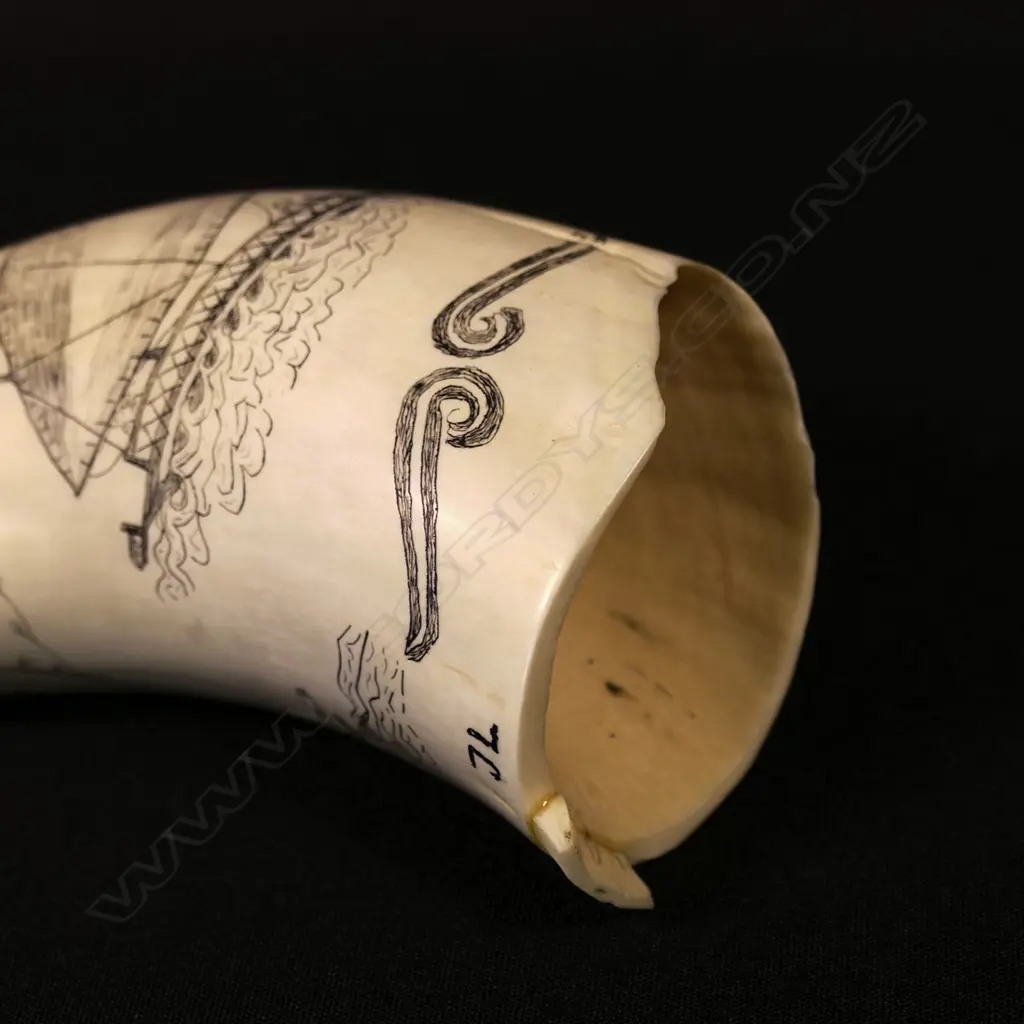 A contemporary scrimshaw whale tooth Image 1++
