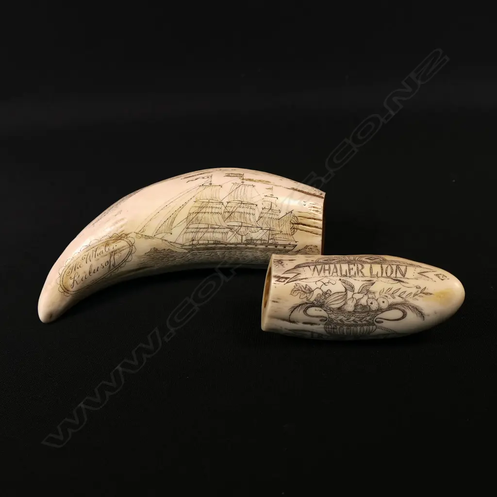 Two scrimshaw replica whales teeth Image 1++