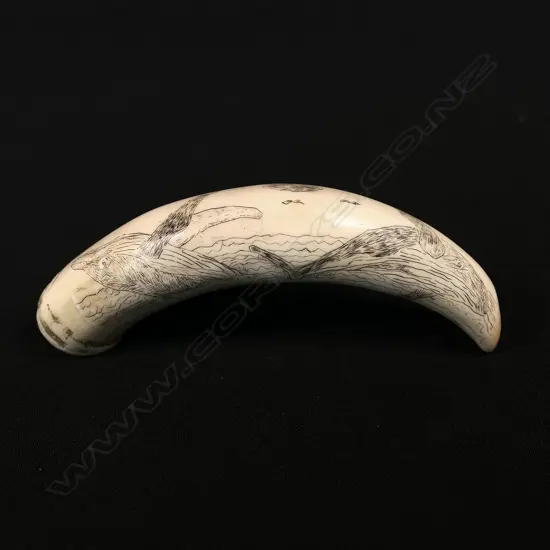 A contemporary scrimshaw whale tooth