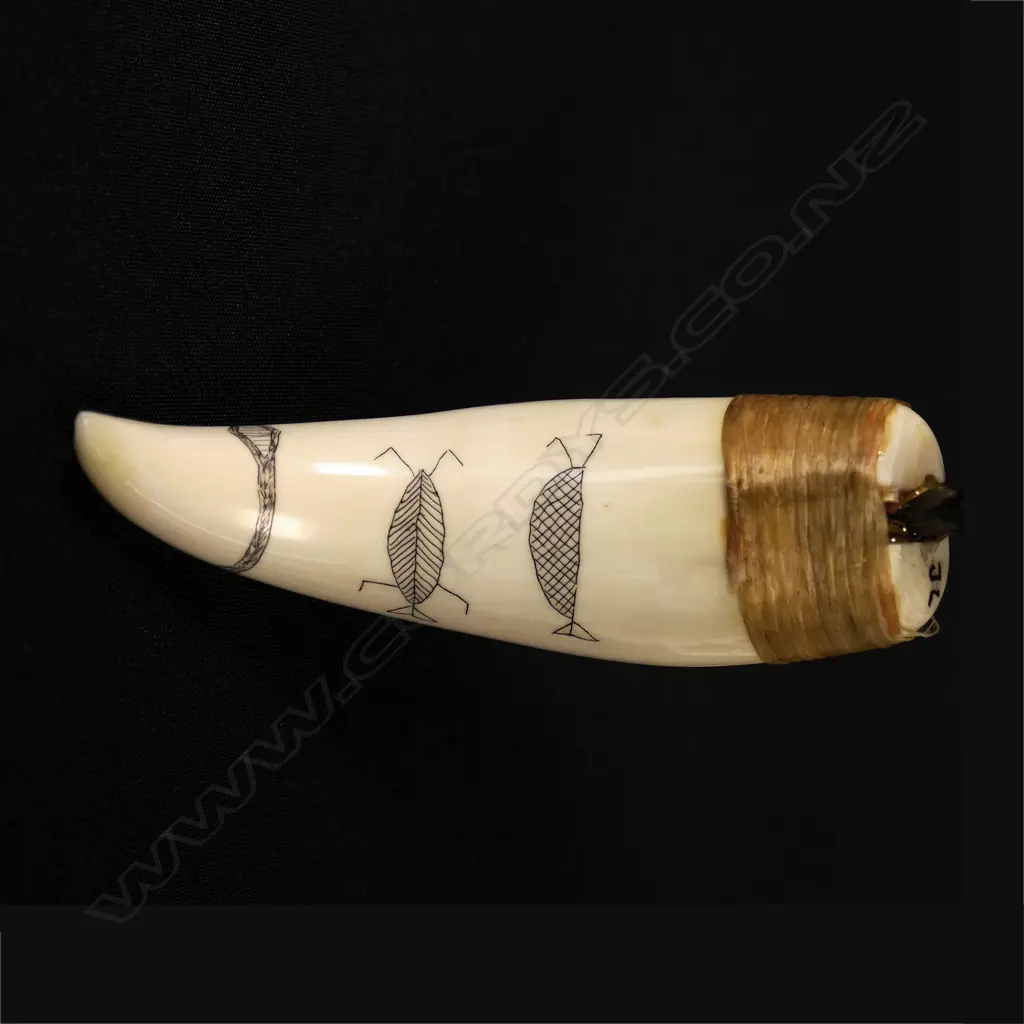 A scrimshaw whale tooth handled knife with a knapped glass blade by Jorgen Lotz Image 1++