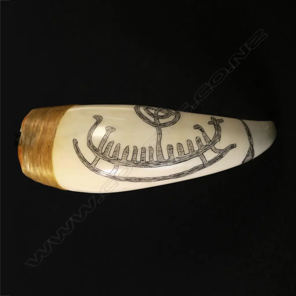 A scrimshaw whale tooth handled knife with a knapped glass blade by Jorgen Lotz Image 1++