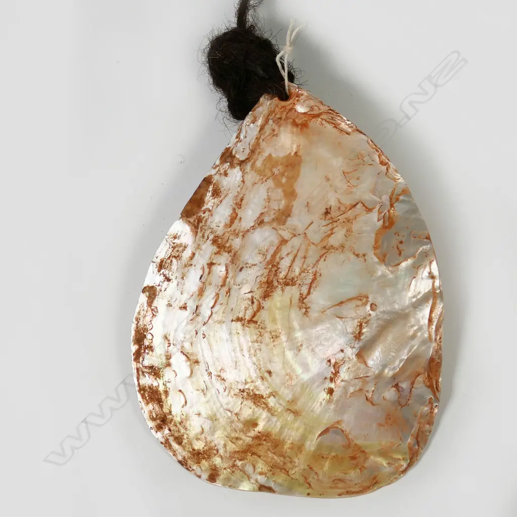 A Western Australian Aboriginal pearl shell lonka lonka (pubic cover) Image 1++