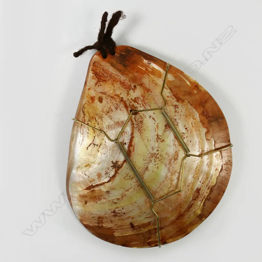 An Australian Aboriginal pearl shell lonka lonka / riji (pubic cover) Image 1++