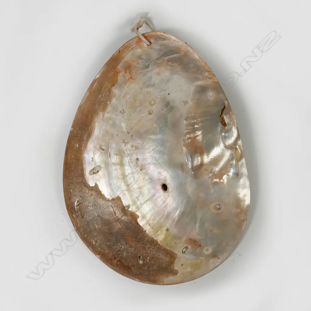 An Australian Aboriginal pearl shell lonka lonka (pubic cover) Image 1++