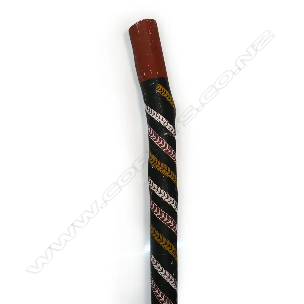 A contemporary Aboriginal digeridoo Image 1++