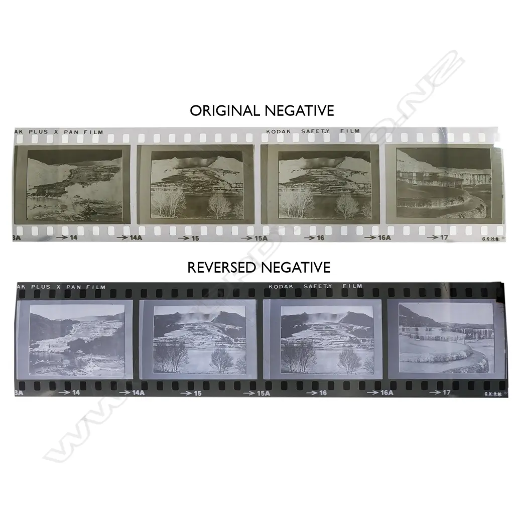 A collection of various books on New Zealand Art Image 1++