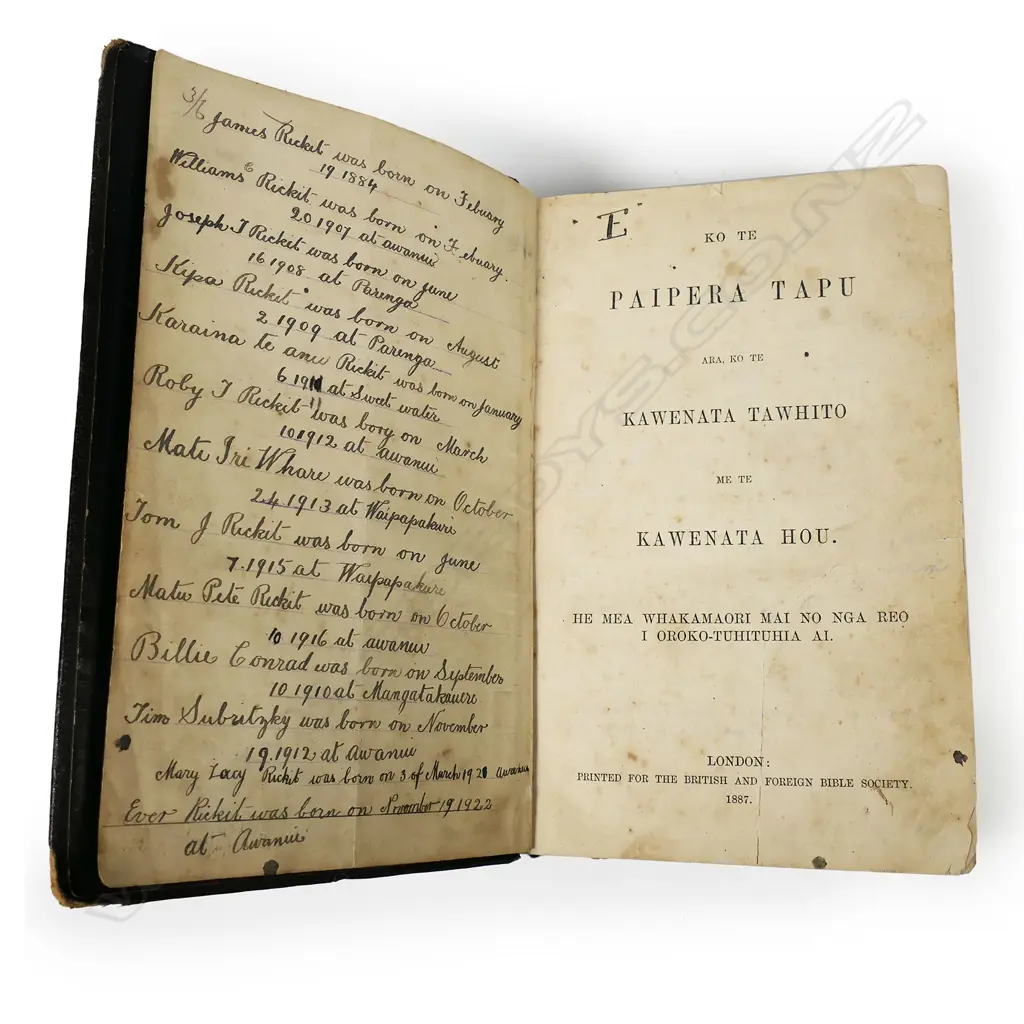 An 1887 Māori language Rickit Family Bible Image 1++