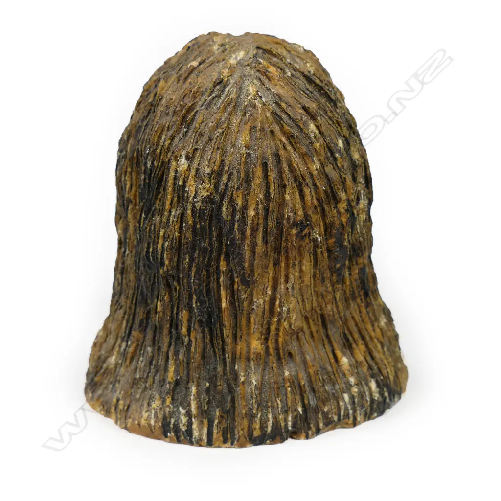 A carved kauri gum Māori portrait bust of a woman Image 1++