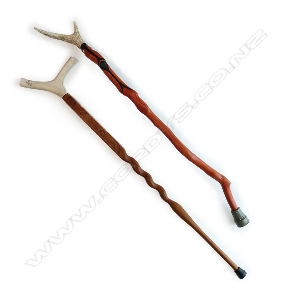 Two tribal walking sticks Image 1++