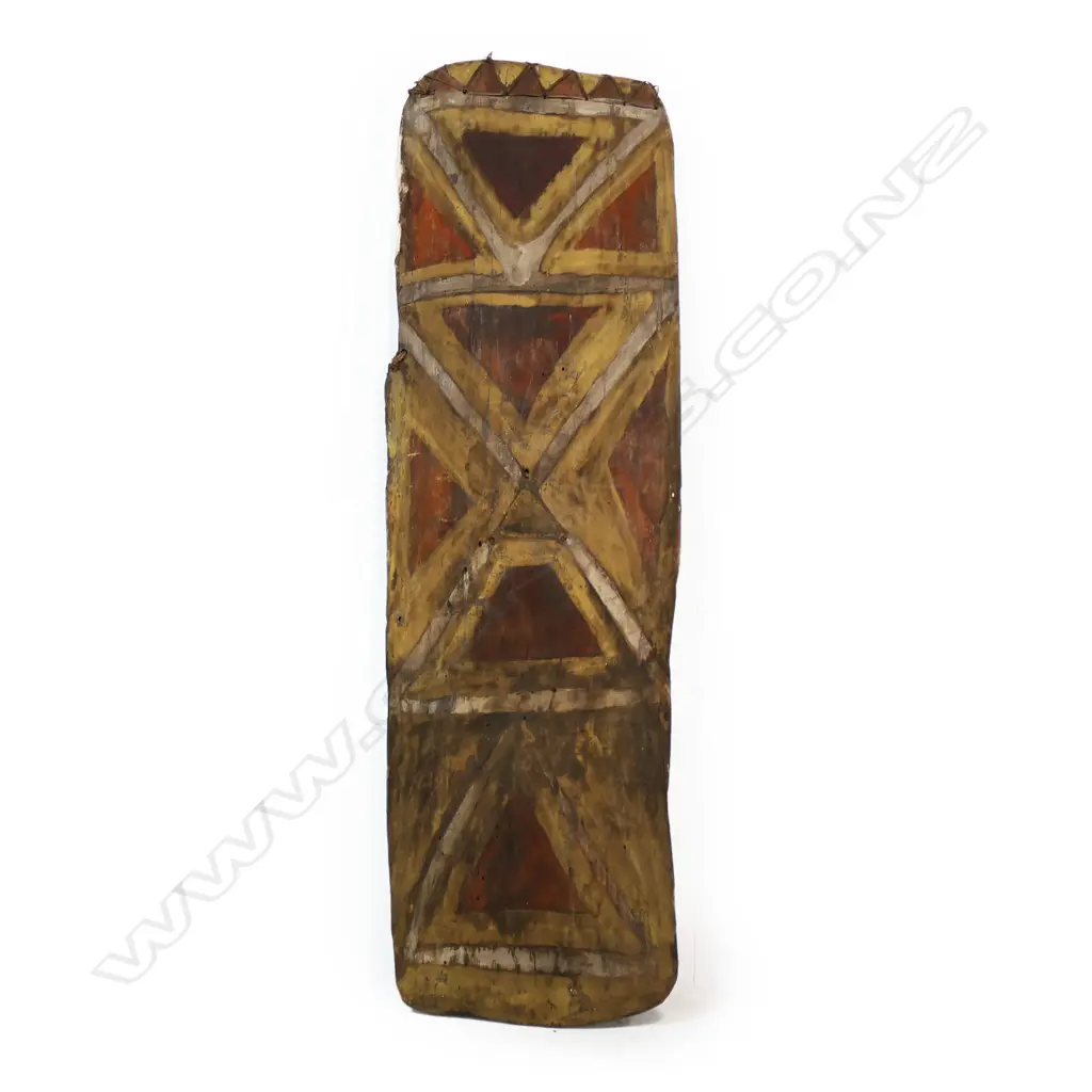 Old New Guinea Highlands fighting shield Image 1++