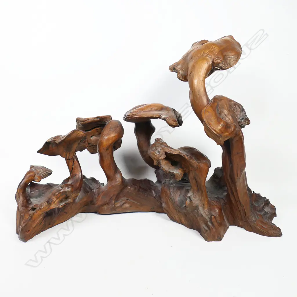 An Unusual Decorative Japanese Meiji Period Reshi Mushroom Root Wood Carving, Image 1++