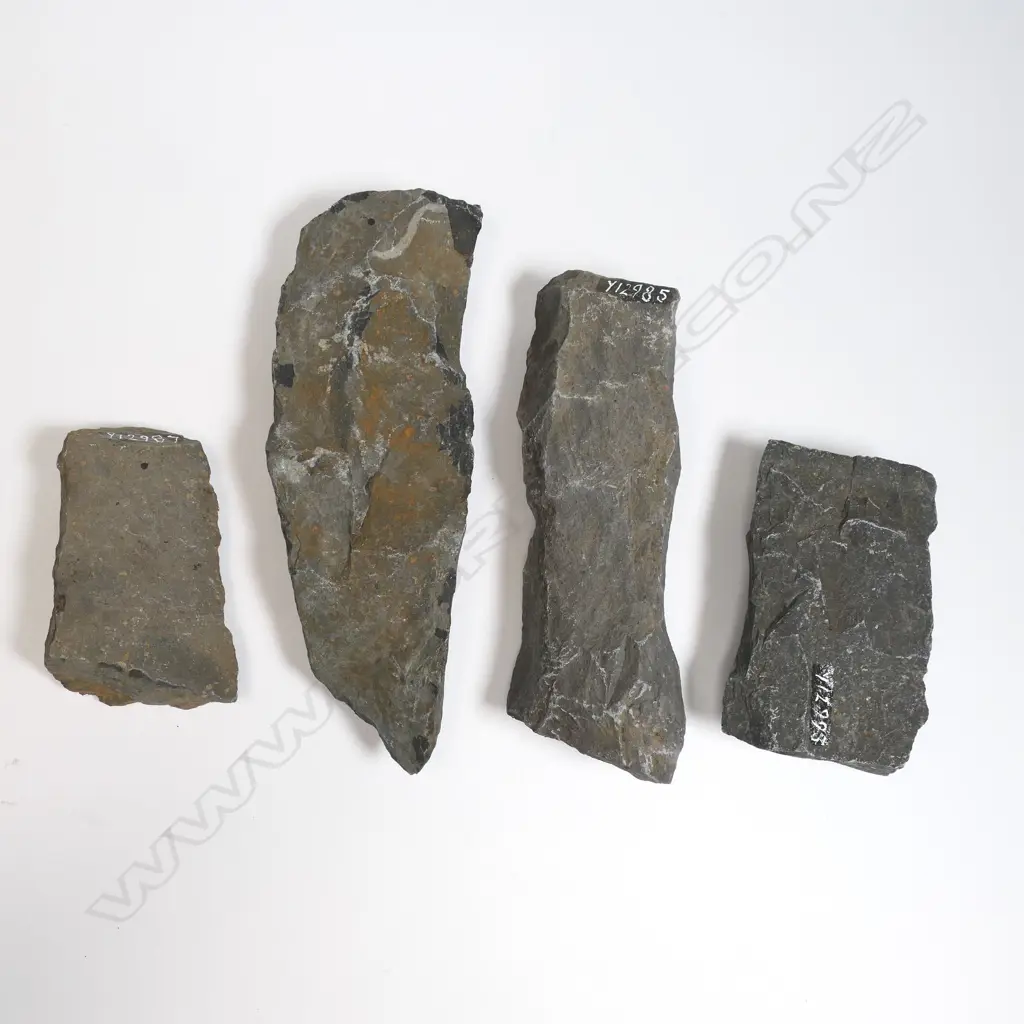 Four Māori old worked stone pieces, Image 1++