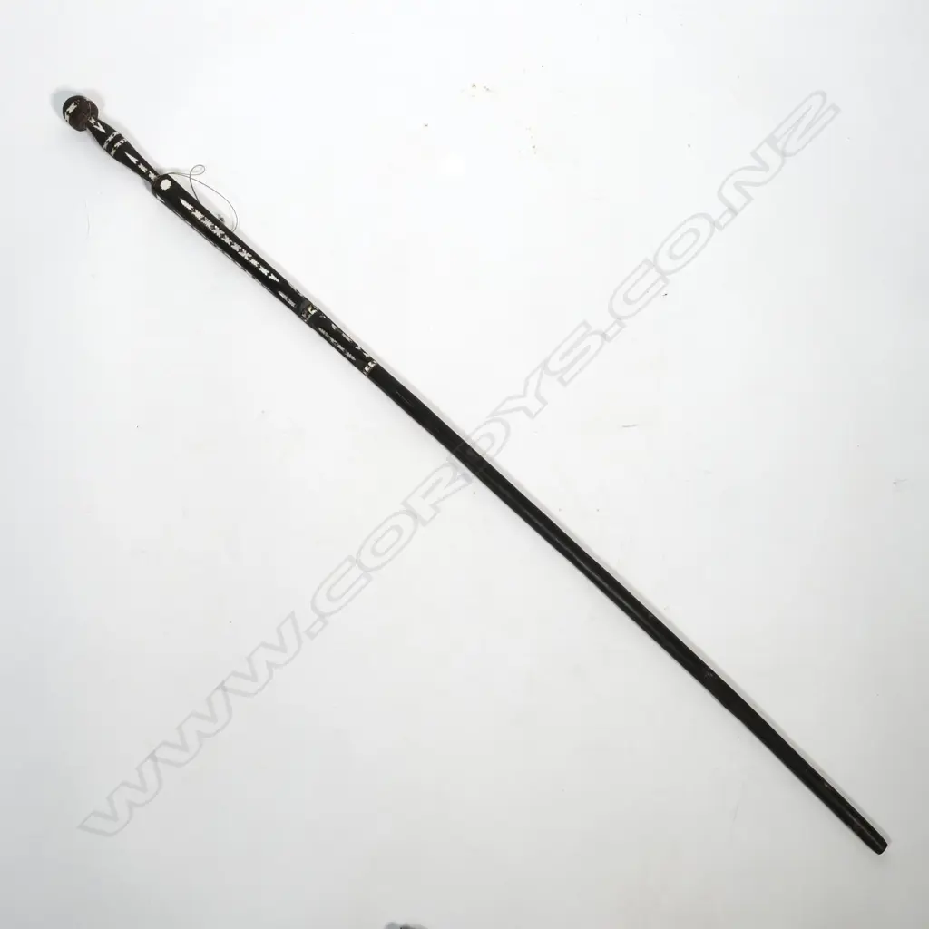 Solomon Island walking stick Image 1++