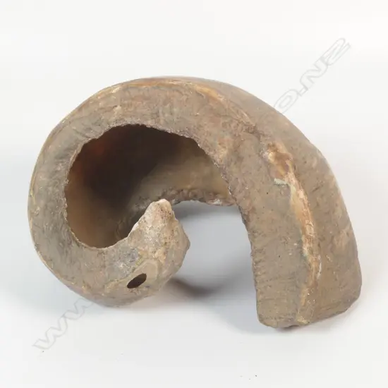 A bride/wealth shell Angoram,