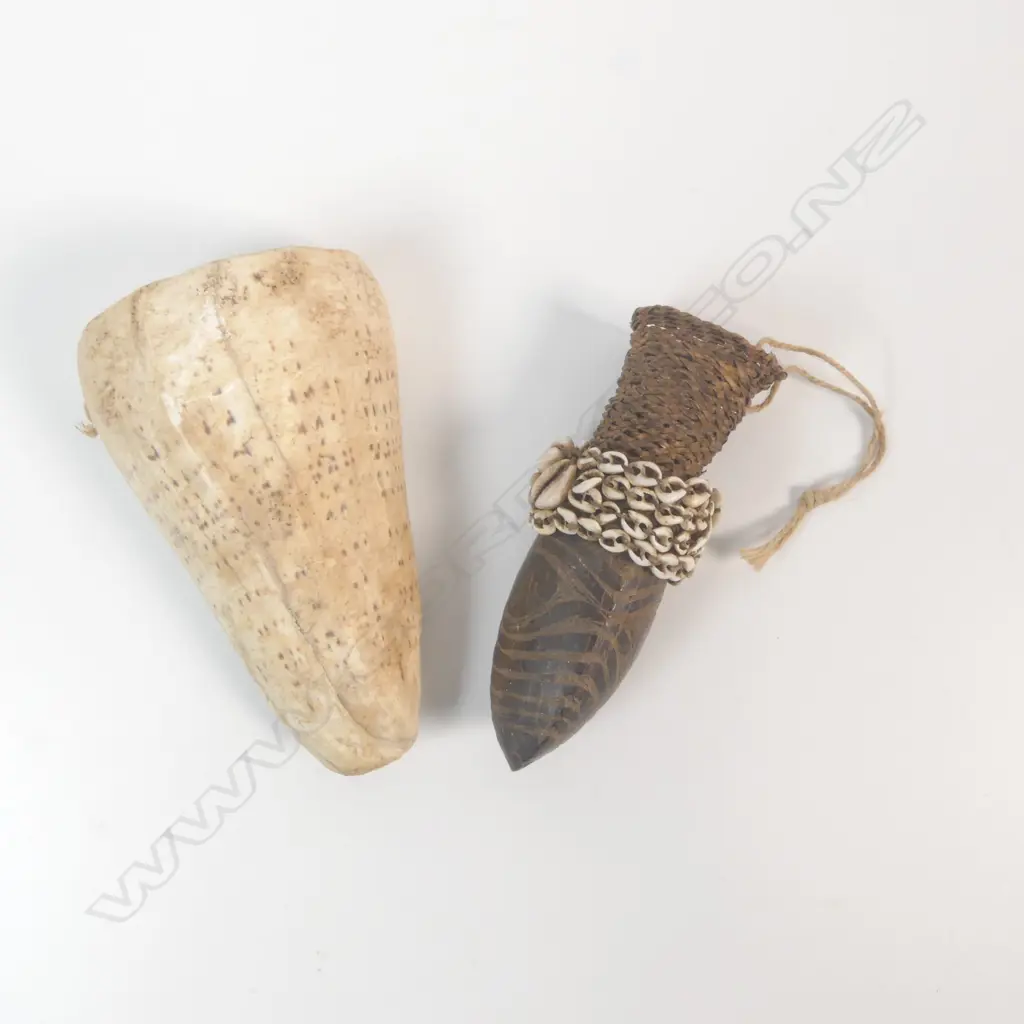A Papua New Guinea penis sheath and shell, Image 1++