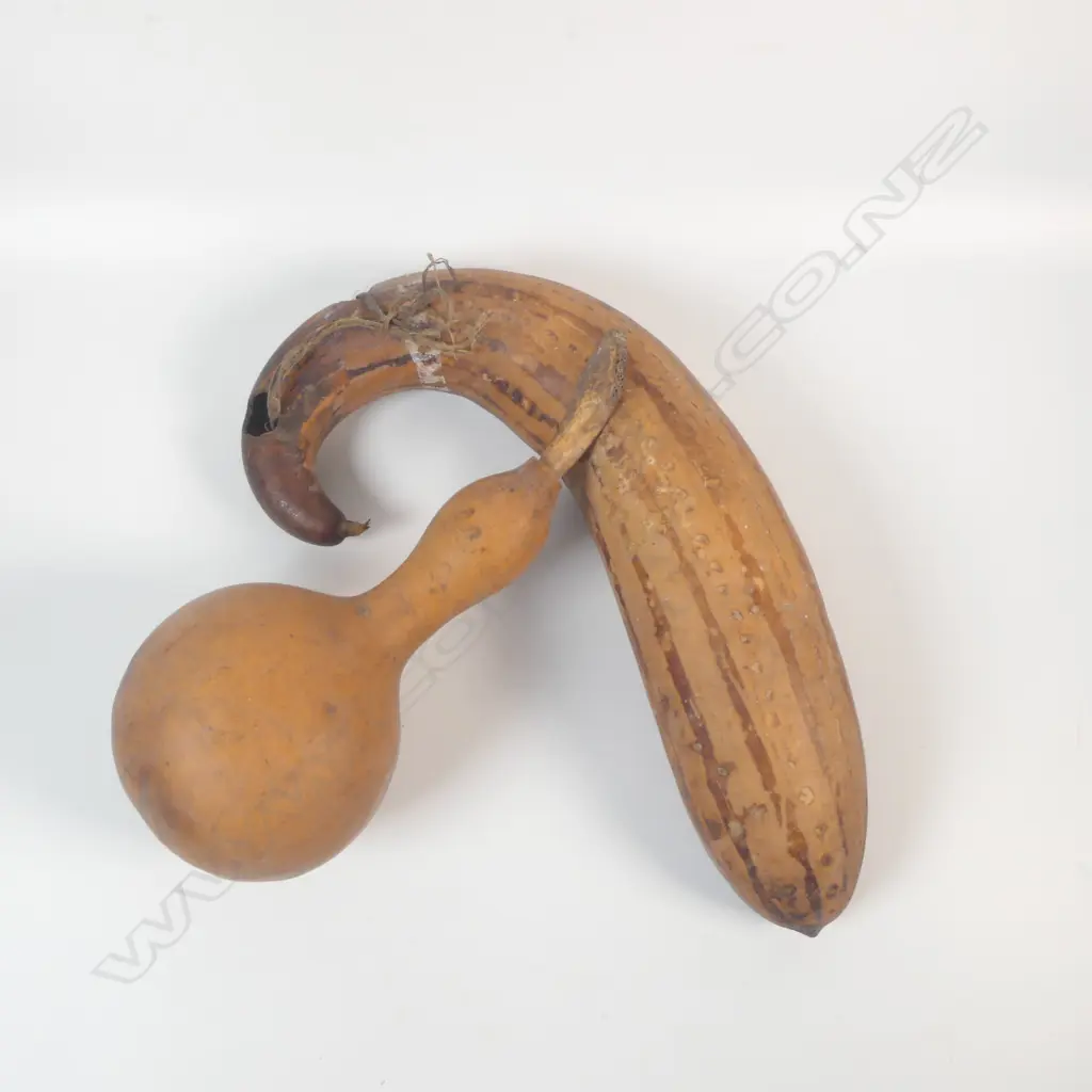 A lime and smoking gourd, Image 1++