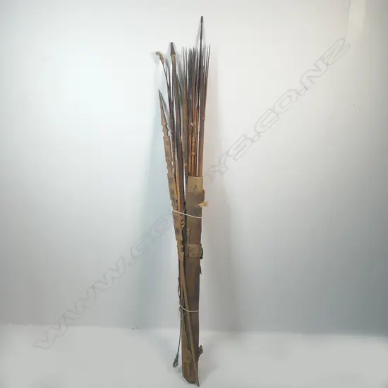 A collection of arrow/spears from Papua New Guinea,