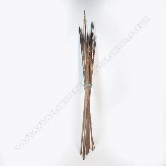 A collection of arrow/spears from Papua New Guinea,