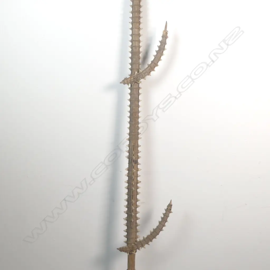 A large shark tooth sword Image 1++
