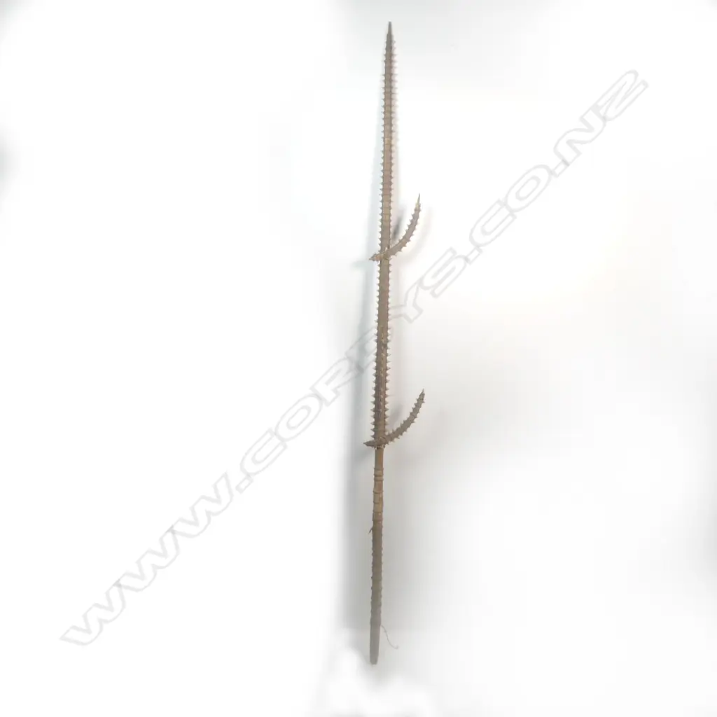 A large shark tooth sword Image 1++