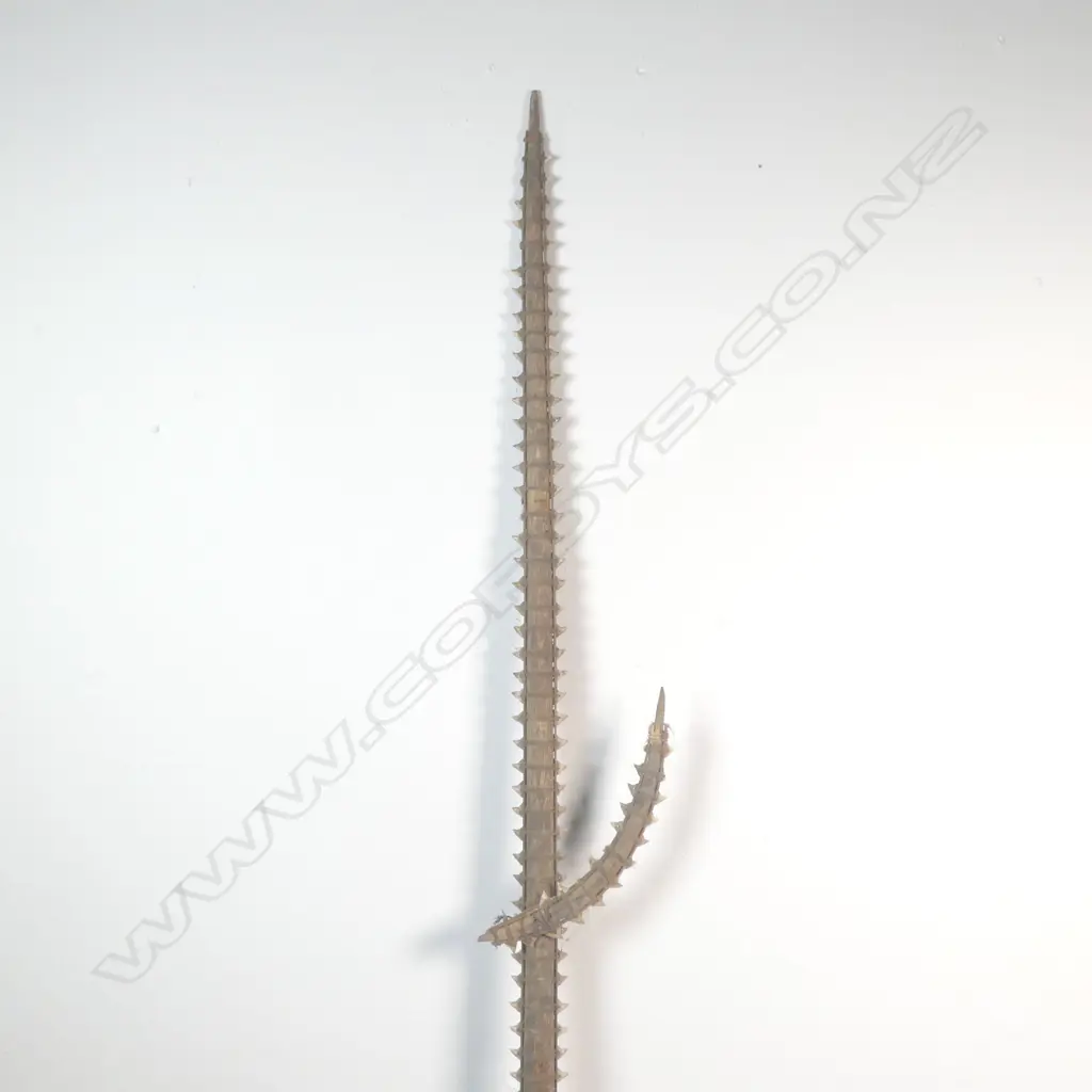 A large shark tooth sword Image 1++