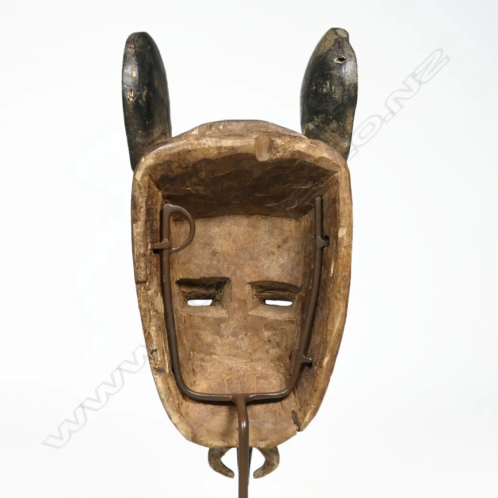 African Baule elephant mask from the Ivory Coast, Image 1++