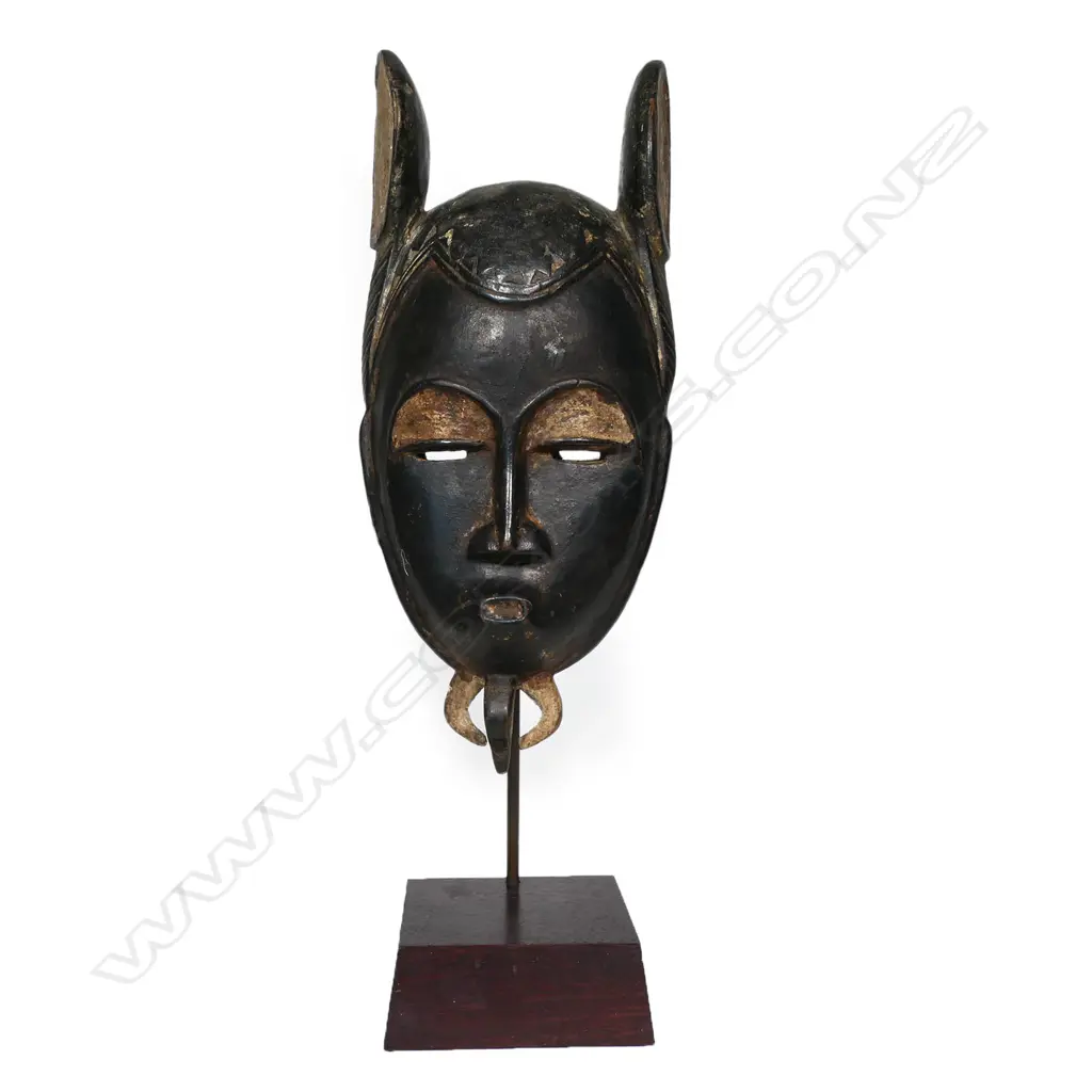 African Baule elephant mask from the Ivory Coast, Image 1++