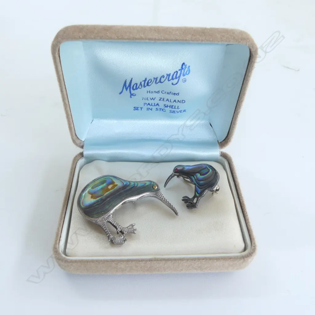 2 vintage silver & paua shell kiwi brooches longest 35mm. In MASTERCRAFTS box Image 1++