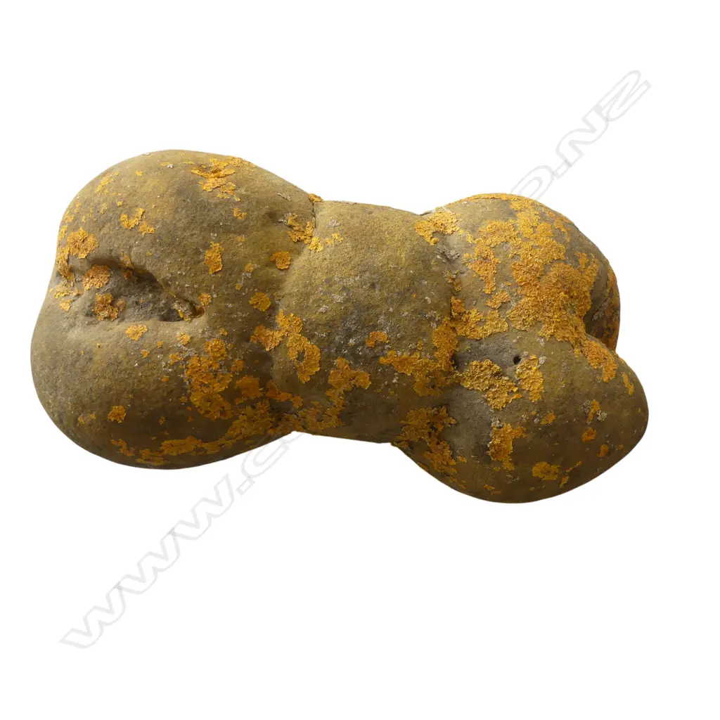 A large reputedly Māori anchor stone, Image 1++