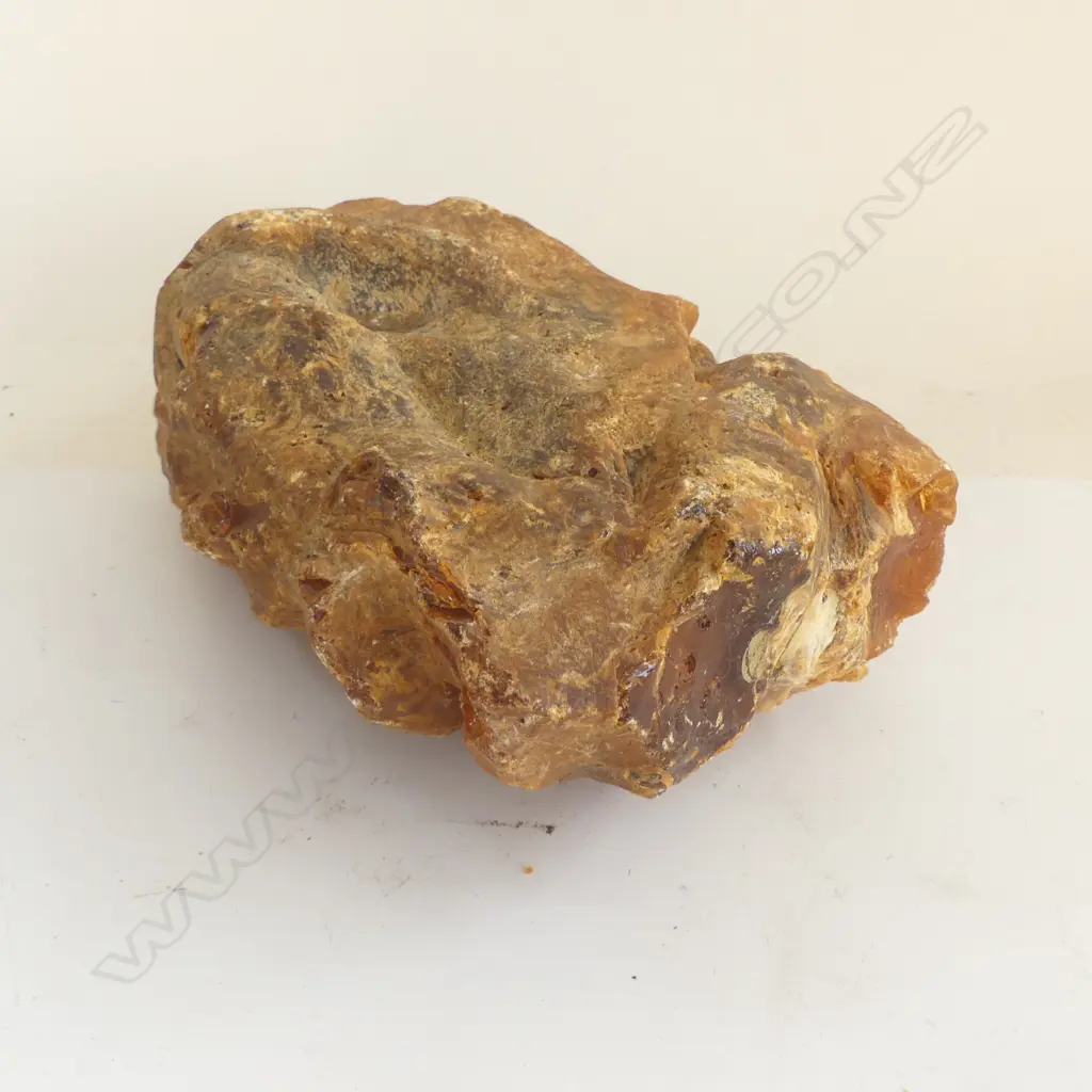 A kauri gum lump, Image 1++