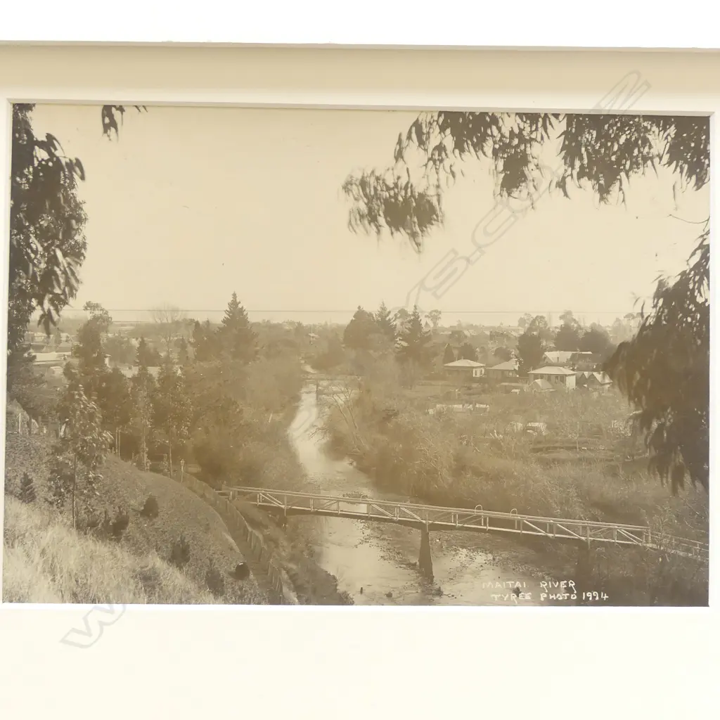 Five various 19thC Tyree of Nelson vintage photographs includes, Image 1++