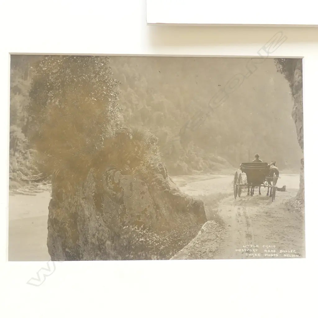 Five various 19thC Tyree of Nelson vintage photographs includes, Image 1++