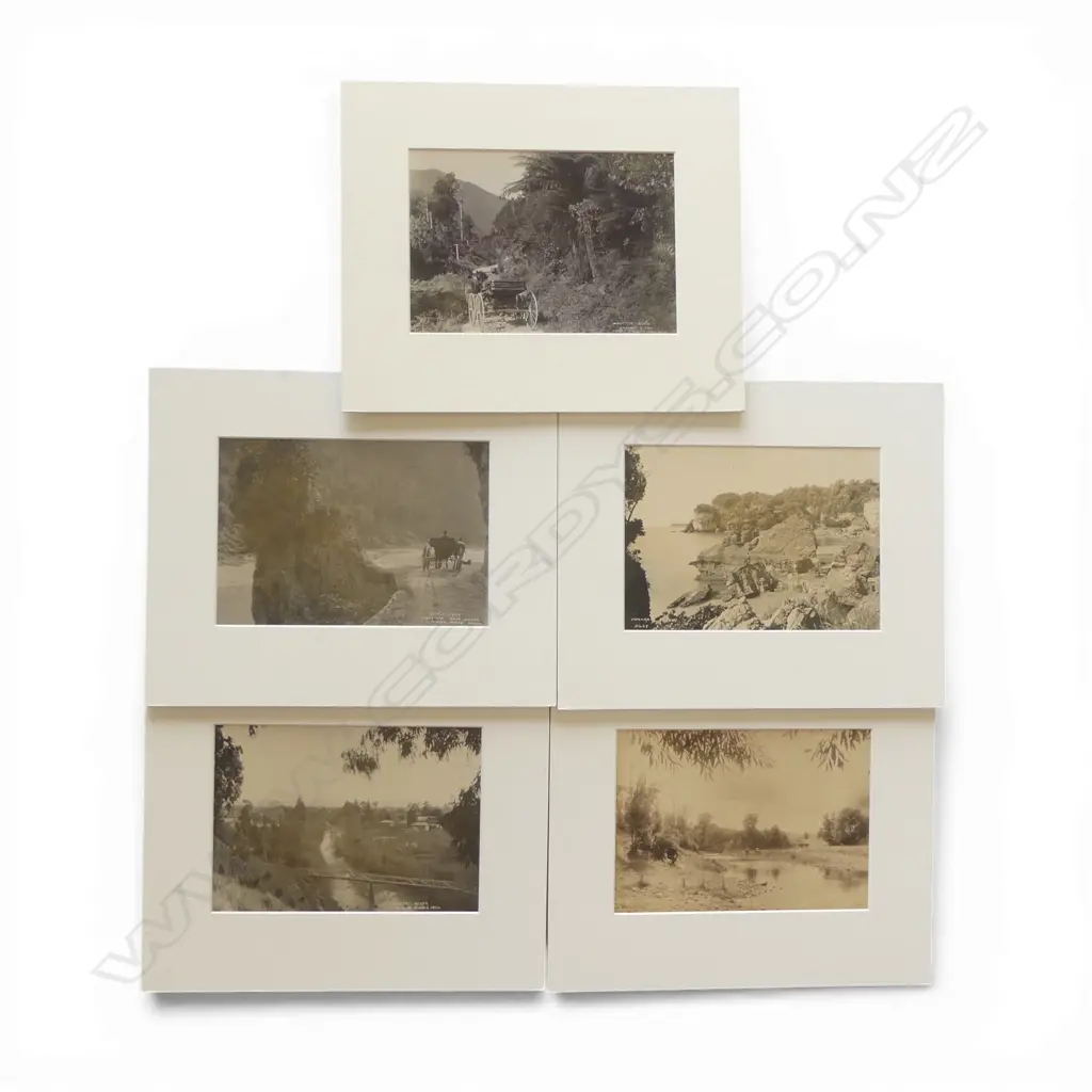 Five various 19thC Tyree of Nelson vintage photographs includes, Image 1++